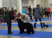 Превью фото № 141825