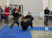 Превью фото № 141827