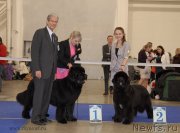 Превью фото № 141828