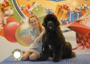 Превью фото № 141832