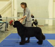 Превью фото № 141834