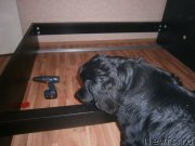 Превью фото № 141887