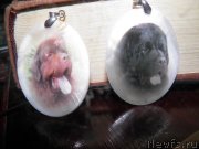 Превью фото № 141891