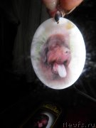 Превью фото № 141892