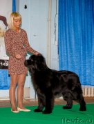 Превью фото № 141895