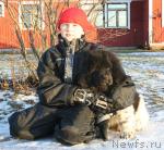 Превью фото № 1419