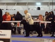 Превью фото № 141931