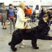 Превью фото № 141933