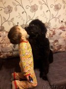 Превью фото № 142257