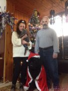 Превью фото № 142264