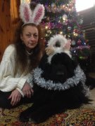 Превью фото № 142265