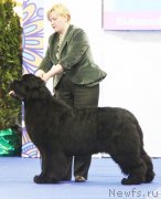 Превью фото № 142280