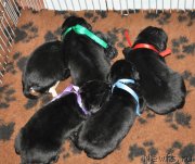 Превью фото № 142283