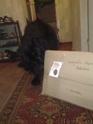 Превью фото № 142341