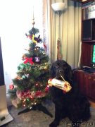 Превью фото № 142352