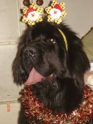 Превью фото № 142359