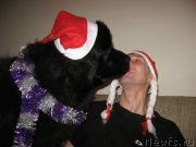 Превью фото № 142374