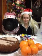 Превью фото № 142378