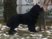 Превью фото № 142391