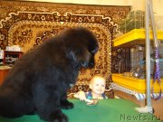 Превью фото № 142398