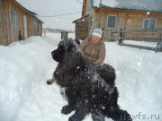 Превью фото № 142406