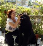 Превью фото № 14246