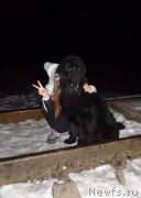 Превью фото № 142468