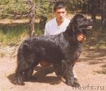 Превью фото № 1425