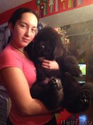 Превью фото № 142589