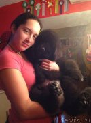 Превью фото № 142591