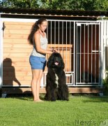 Превью фото № 142882