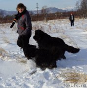 Превью фото № 142962