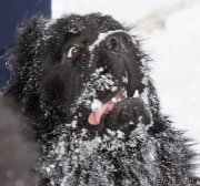 Превью фото № 142973