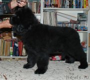 Превью фото № 142997