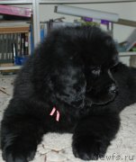 Превью фото № 142998