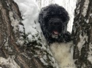 Превью фото № 143010