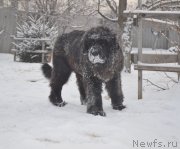 Превью фото № 143057