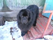 Превью фото № 143206