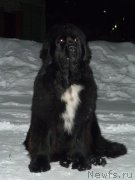 Превью фото № 143210