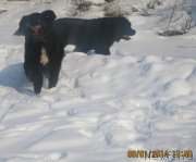 Превью фото № 143237