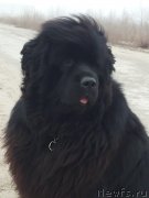 Превью фото № 143240