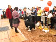 Превью фото № 143248