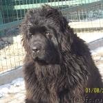 Превью фото № 143369