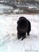 Превью фото № 143382