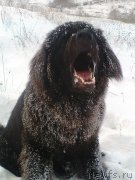 Превью фото № 143384