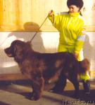 Превью фото № 1434