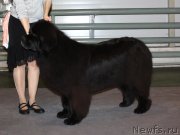 Превью фото № 143437