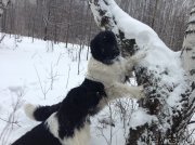 Превью фото № 143456