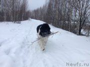 Превью фото № 143463