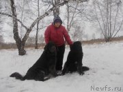 Превью фото № 143477